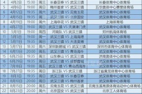 关于CBA季后赛赛程吃紧，武汉三镇转会期战术微调，引发热议，医务组通报恢复的信息-jiuyou游戏中心